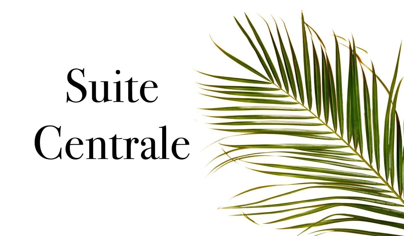 Suite Centrale 44 location